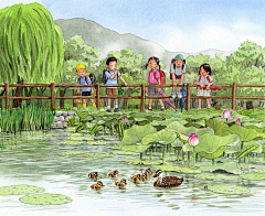 水里的不是鱼采集到插画