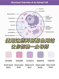 屁桃君的桃子脸采集到不知叫啥的文件