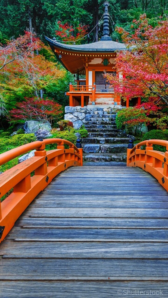 慢行京都
清水寺是京都最古老的寺院，绿树...