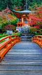 慢行京都
清水寺是京都最古老的寺院，绿树环抱的寺庙在春季时樱花烂漫，是京都的赏樱名所之一，秋季时红枫飒爽，又成为赏枫胜地。