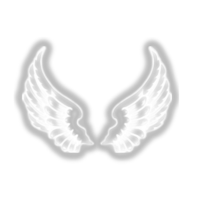 翅膀png