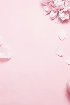 粉色俯拍背景1