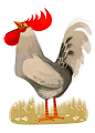 Chickens! : Chickens