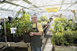 Portrait confident worker holding potted flower in greenhouse by Hero Images on 500px