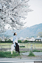 攝影師啾啾秋秋醬的甜美日系美女與櫻花樹攝影作品 | GigCasa 激趣網