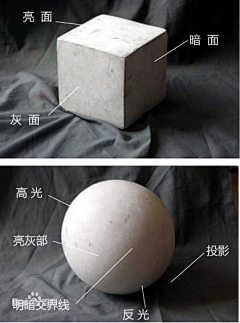 荷叶旅行者采集到素描