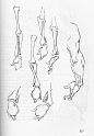Bridgman - Complete Guide to Drawing from Life....