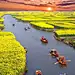 油菜籽领域，兴化，中国

Canola Fields, Xinghua, China