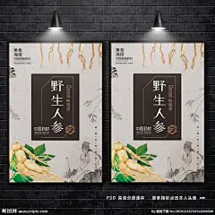 人参 人参海报 人参广告 野生人参 山参 野生山参 长白山人参 土人参 人参画册 正宗人参 野山参 中药人参 野人参 人参花 高丽野人参 人参挂画 人参挂图 长白山参 东北人参 东北野山参 中药
