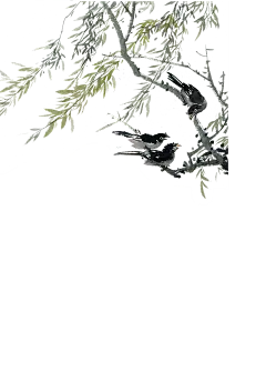 中国古风水墨柳树柳枝PNG免抠透明图片 后期美化背景装饰设计素材 (30)