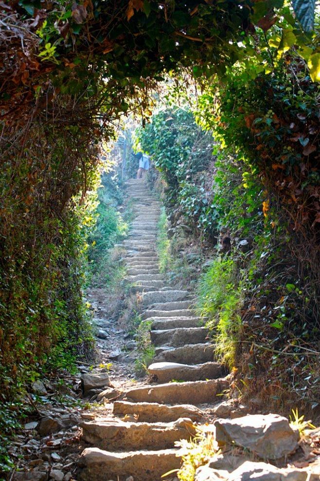 Cinque Terre trails ...