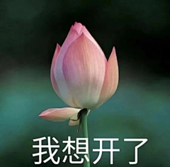 lanlldr采集到985知识扩展
