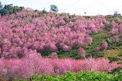 uKL66vUp采集到乡村景观