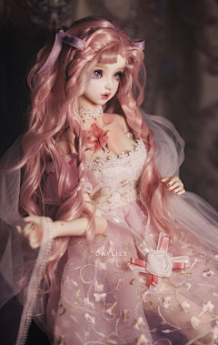 sea71采集到bjd