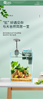 鱼缸 (10)