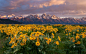 Grand Teton National Park