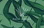 Palm House - Palm Beach : Palm House - Palm Beach