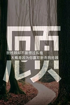 蕉雨落红叶采集到文字图片