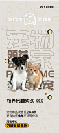 宠物家展架