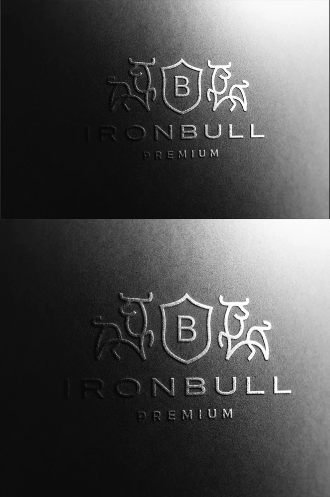 高品质UV压印烫金烫银工艺LOGO样机-花瓣网