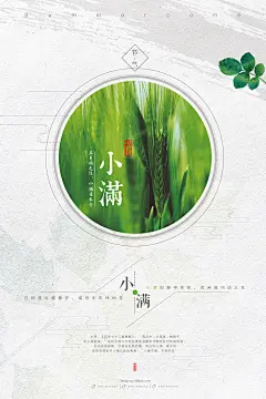 【二十四节气之小满】极简 质感 清新 小麦 小满 24节气 小满展板 二十四节气 农历节气 清明 谷雨 立夏 小满 芒种 夏至 传统节日 农历节日 夏季 传统文化 谷雨 传统 谷雨海报 节气文化 海报 小暑 大暑 几何