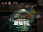 网易第五人格的微博_微博