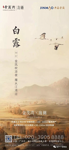 目夕(罗)采集到详情业