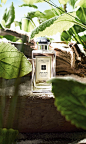 Wood Sage & Sea Salt Cologne | Jo Malone London : Escape the everyday along the windswept shore. Waves breaking white, the air fresh with sea salt and spray. Alive with the mineral scent of the rugged cliffs. Mingling with the woody earthiness of sage