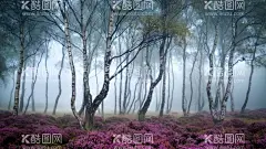 自然风景壁纸背景  - 源文件下载【酷图网】风景,草地,风景照,蓝天白云,摄影,自然景观,山水风景,壁纸,背景