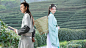 x_i_bc6d453b4d4da2eab0a4b84a2467abfc _古言_T2021323 #率叶插件，让花瓣网更好用_http://ly.jiuxihuan.net/?yqr=18881189#