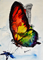 Rainbow Butterfly watercolor painting original by AlisaAdamsoneArt: