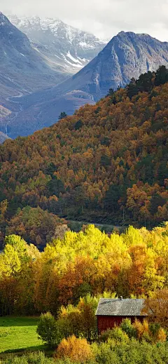风景壁纸
