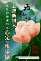 无私地去帮助别人，这给你带来的是心定和快乐感
#佛言佛语#