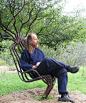 普克特椅
1986年，彼得有了一个种椅子的想法。九年后，彼得和贝基成为伴侣。普克特降生了。他们全家掌握了对树塑形的技艺。普克特使得一种逐渐塑形法变得完美，这种方法是让树顺着预先设接好的形状生长。对支撑框架的设计和安装是一把树椅诞生的最根本的工作。他们准备将一些长成之后的树做成高品质室内家具，另一些则用来继续这种有生命的艺术。