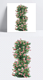 小碎花花藤png免扣元素|png,粉色花朵,花朵,花藤,免扣元素,蔷薇花,透明,元素