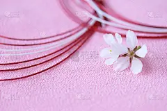 樱花和mizuhiki