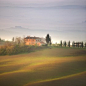 Among the mist - Marcin Sobas