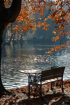 湖边秋意落叶自然风景