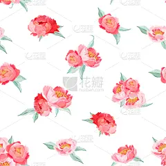 夏天,牡丹,式样,请柬,纺织品,华贵,壁纸,复古,花,爱