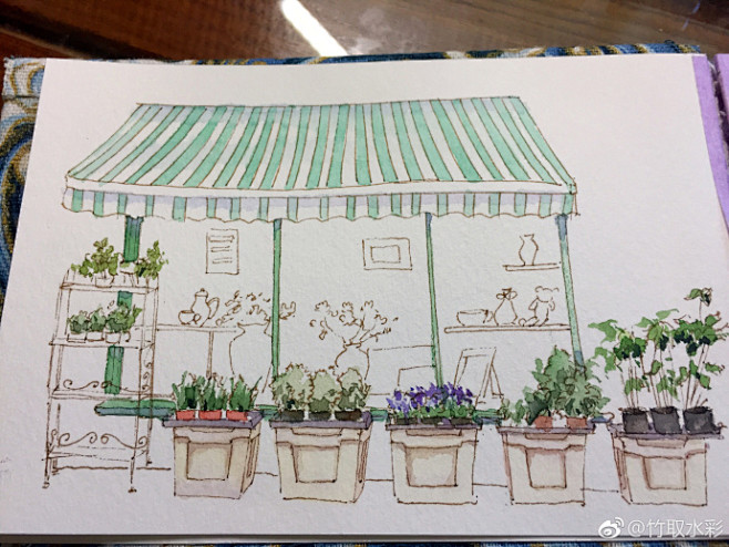 #钢笔淡彩##水彩插画# 【花店系列】一...