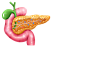 胰腺 (4)