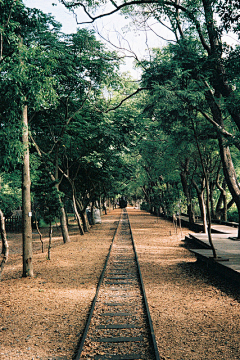 CQ阿杰采集到配图-风景