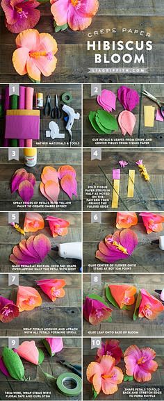 DIY Crepe Paper Hibi...