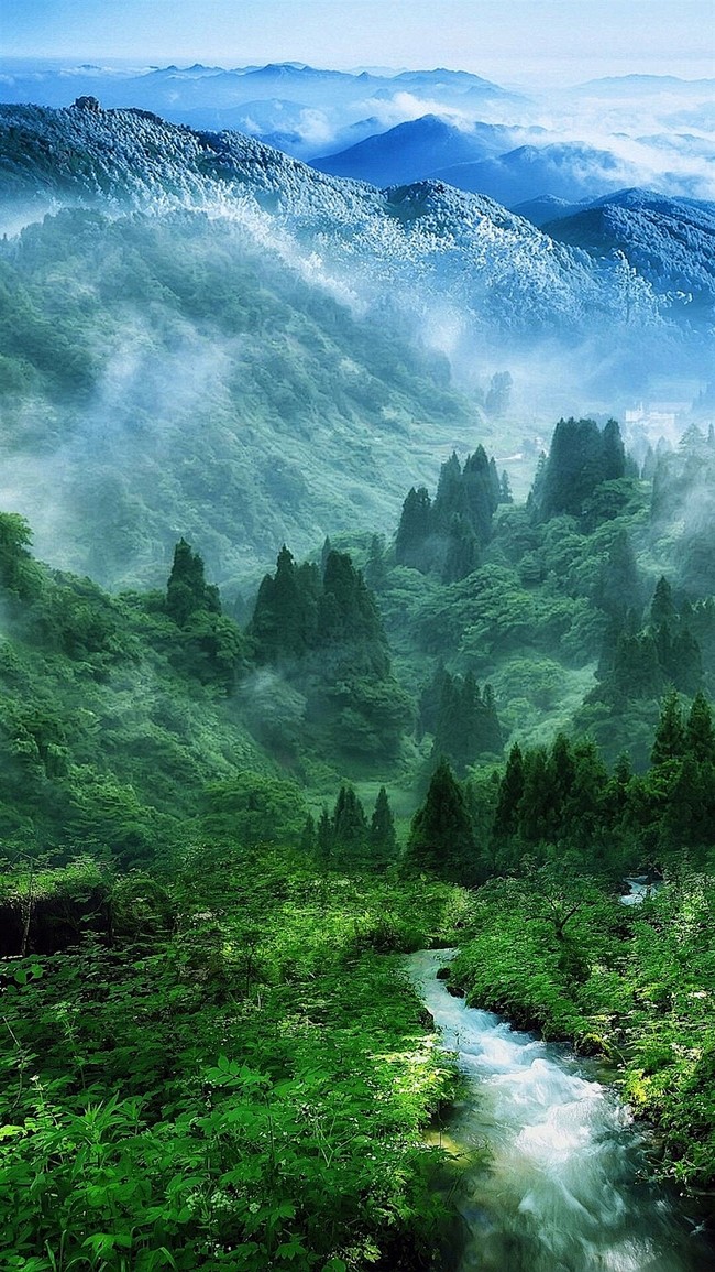 森林 山水风景H5背景- HTML素材网...