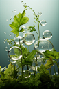 geomyidae_Bubbles_plants_transparent_background_National_Geogra_add6e923-8c6e-4e73-83e4-f89d947c66a8