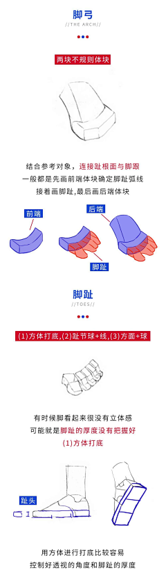 MC_Q9采集到人体_手足