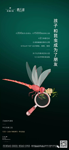 四只眼睛采集到新图