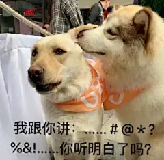 迷惑 表情包的搜索结果_百度图片搜索