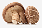 三个蘑菇png免抠素材_新图网 https://ixintu.com 蘑菇 蔬菜 菇类 食材