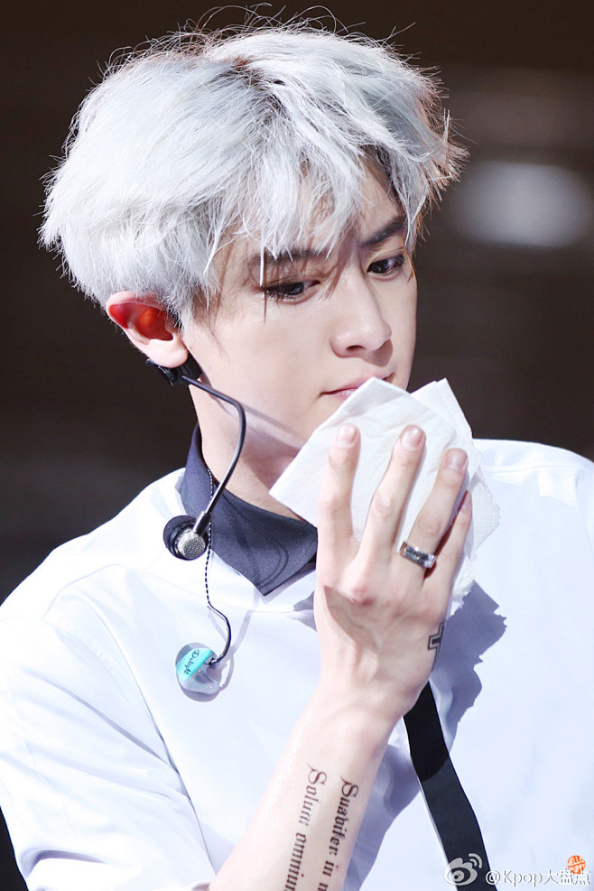 EXO 朴灿烈